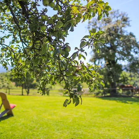 Hotel Country House Na Skaluc Lasko