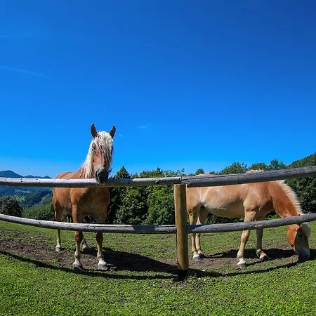 Country House Na Skaluc Hotel Lasko