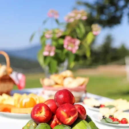 Hotel Country House Na Skaluc *