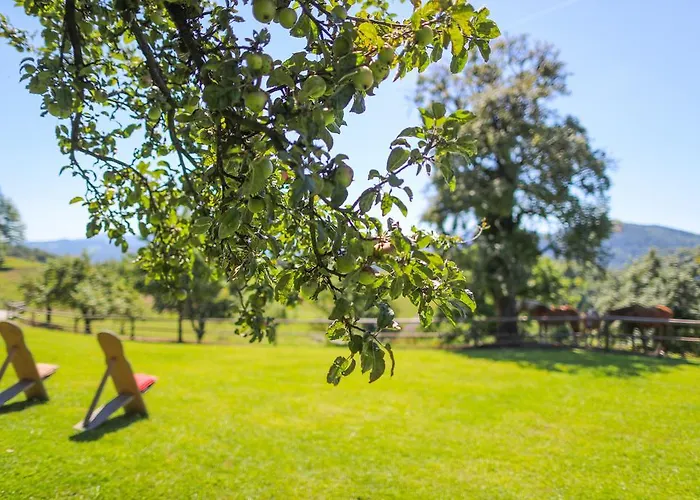 Hotell Country House Na Skaluc Laško