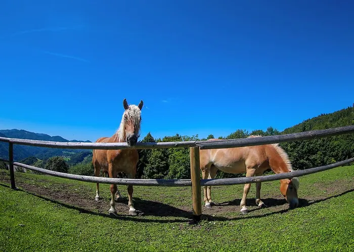 Country House Na Skaluc Hotell Laško