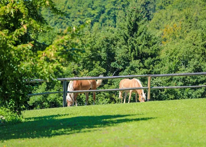 Country House Na Skaluc *